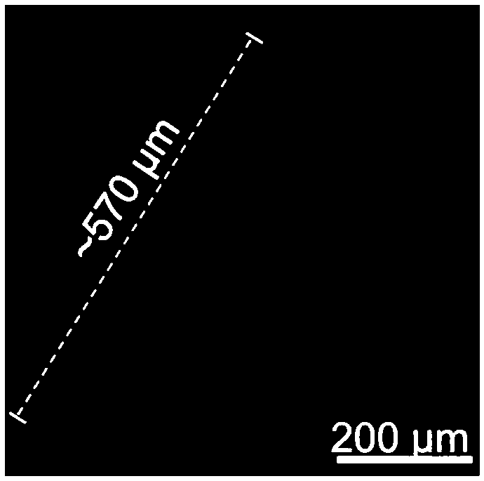 Disulfide single crystal and preparation method and application thereof