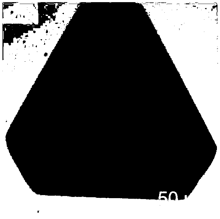 Disulfide single crystal and preparation method and application thereof