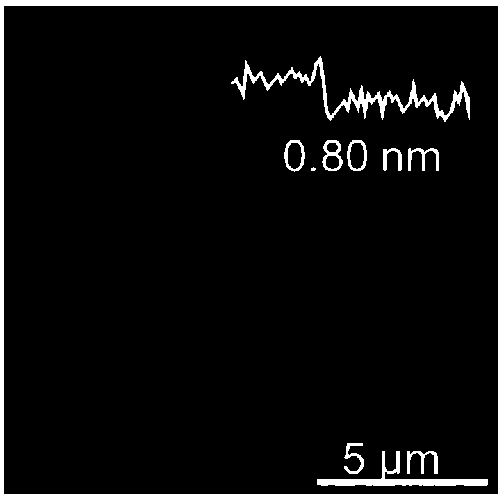 Disulfide single crystal and preparation method and application thereof