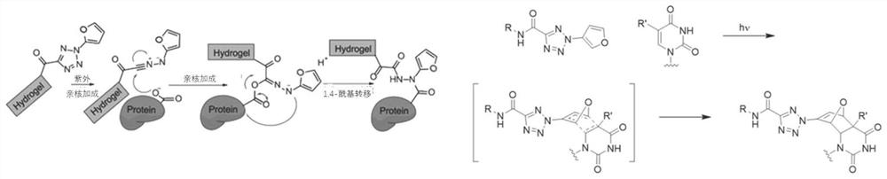 Photosensitive compound and preparation method and application thereof