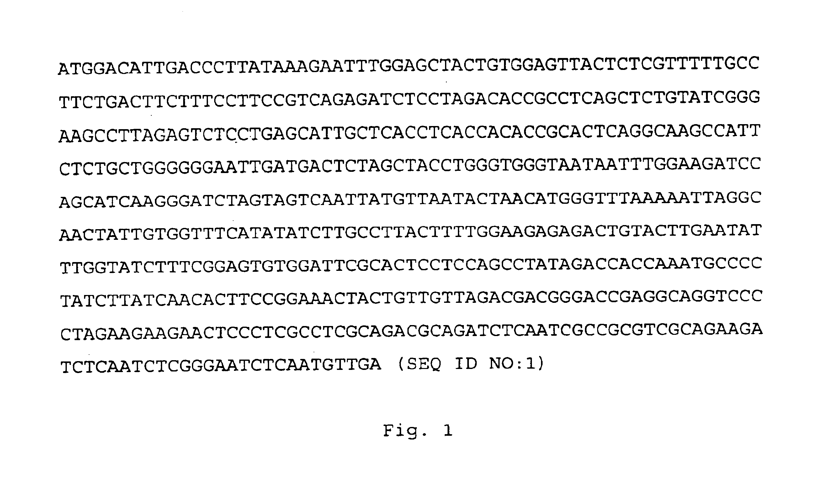 Hepatitis B virus treatment