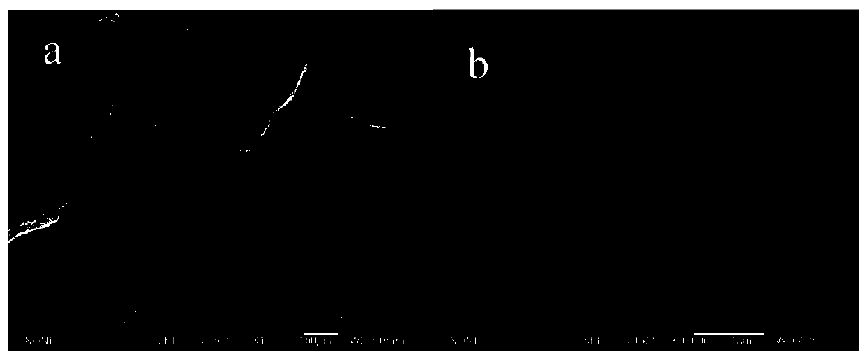 A kind of nio/ng/nf composite electrode material and preparation method thereof