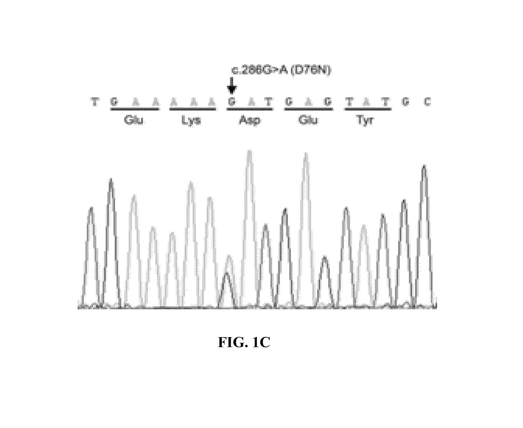 Variant Beta2-microglobulin, characterization of the same and applications thereof