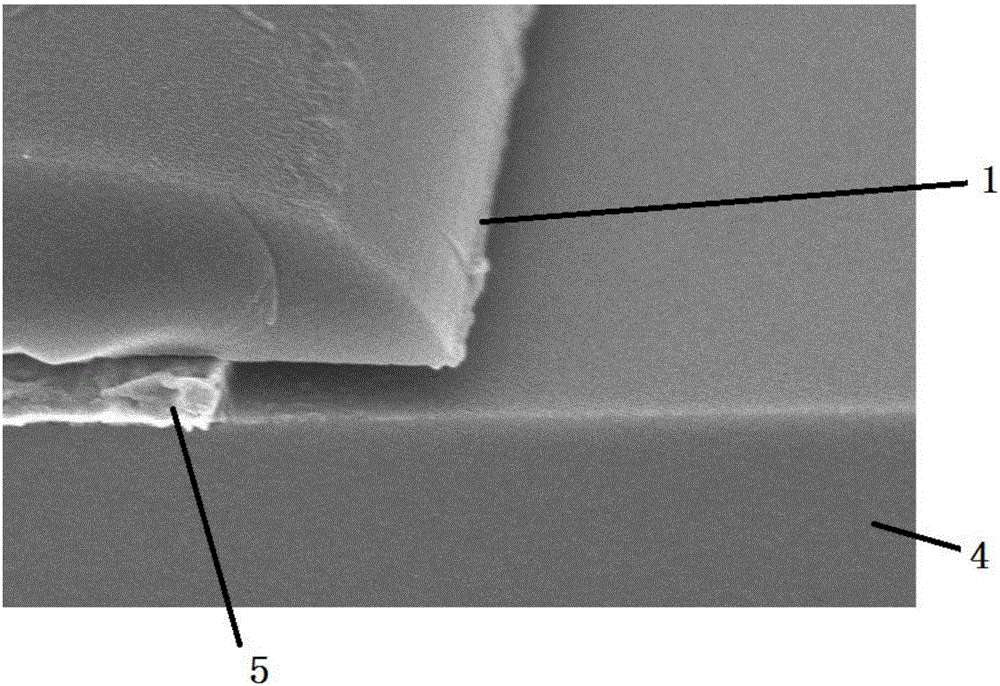 Etching solution composition and metal film etching method using same