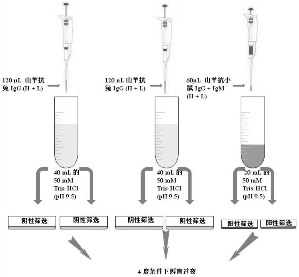 Preparation method of retinal ganglion cells