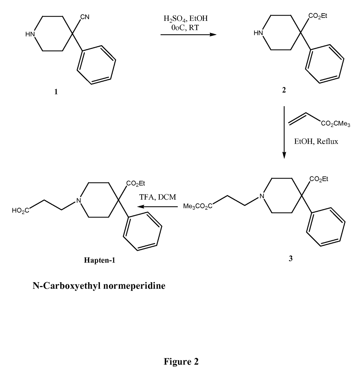 Immunoassays for meperidine and metabolites