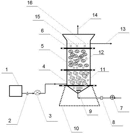 Method and device for culturing aerobic biofilm capable of treating low-concentration ammonia nitrogen in water body