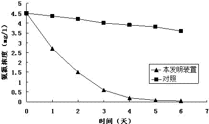 Method and device for culturing aerobic biofilm capable of treating low-concentration ammonia nitrogen in water body