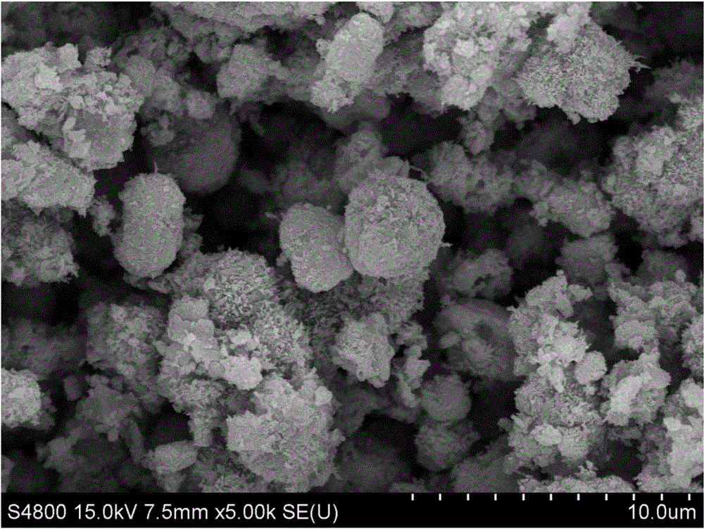 Method for treating chrome-containing wastewater by catalytic reduction of petaloid magnetic iron oxide/molybdenum sulfide composite