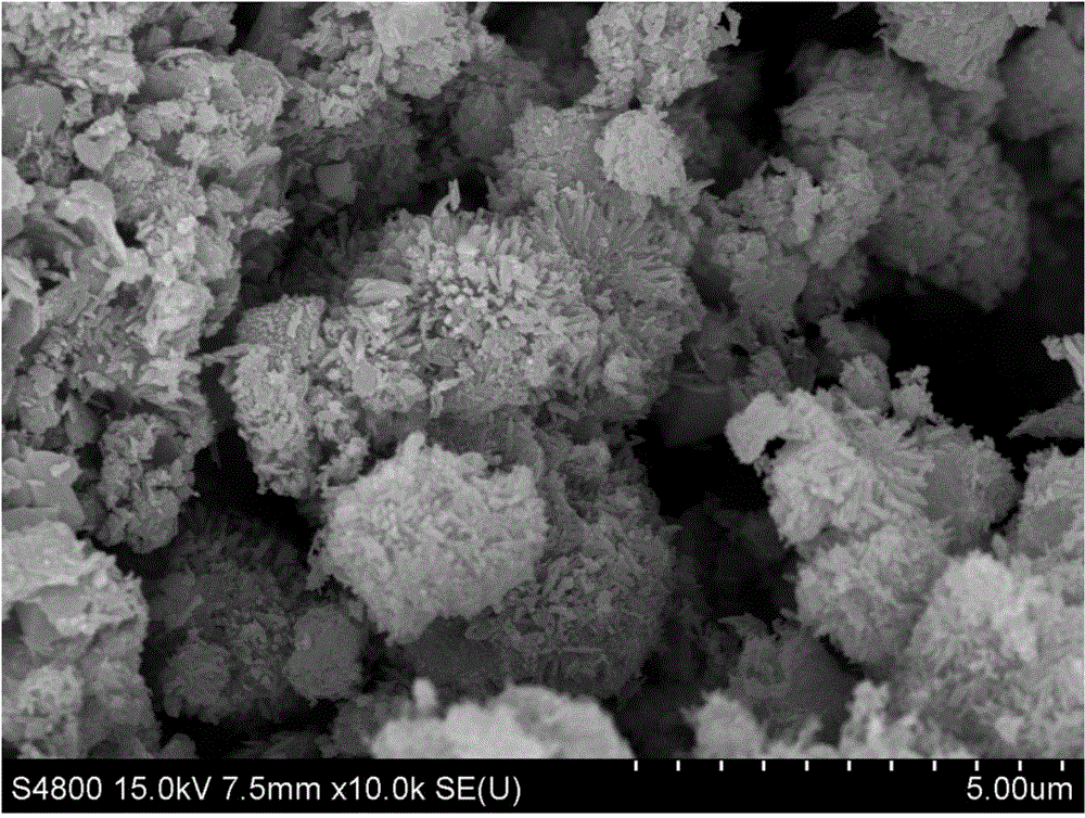 Method for treating chrome-containing wastewater by catalytic reduction of petaloid magnetic iron oxide/molybdenum sulfide composite