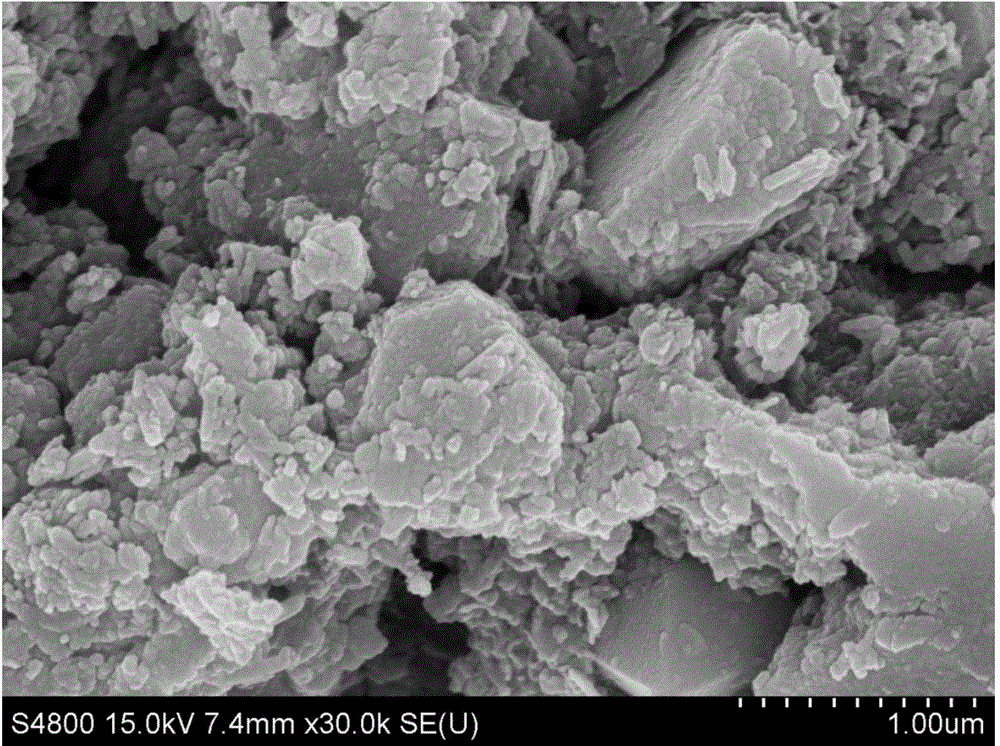 Method for treating chrome-containing wastewater by catalytic reduction of petaloid magnetic iron oxide/molybdenum sulfide composite