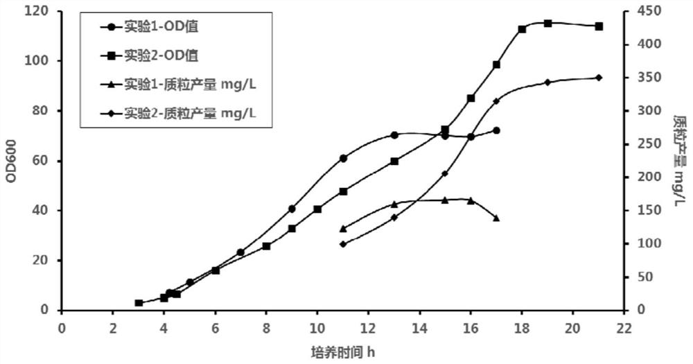 Method for increasing fermentation yield of plasmids