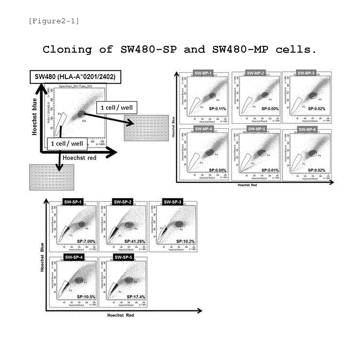 Tumor antigen peptide