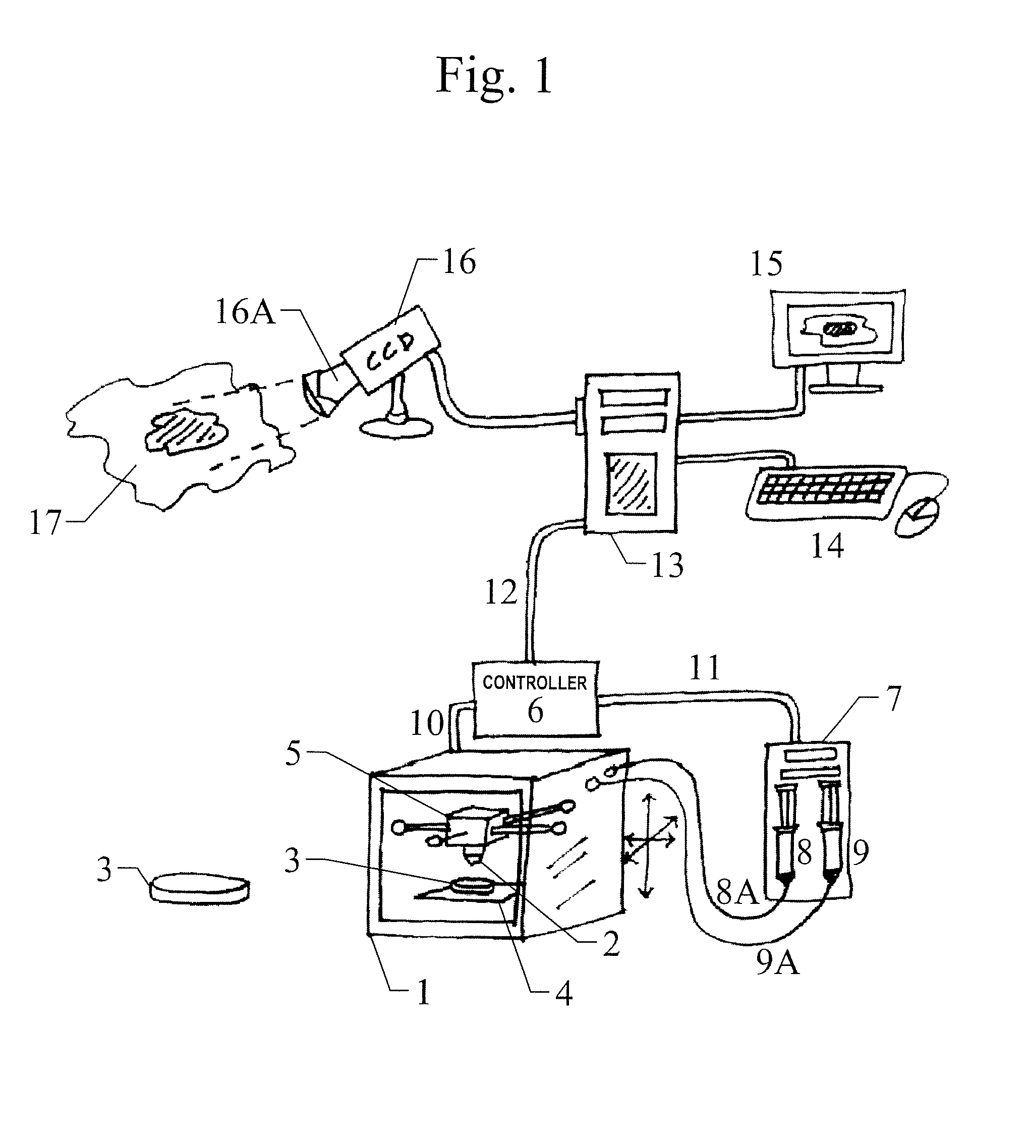 Skin printing and auto-grafting