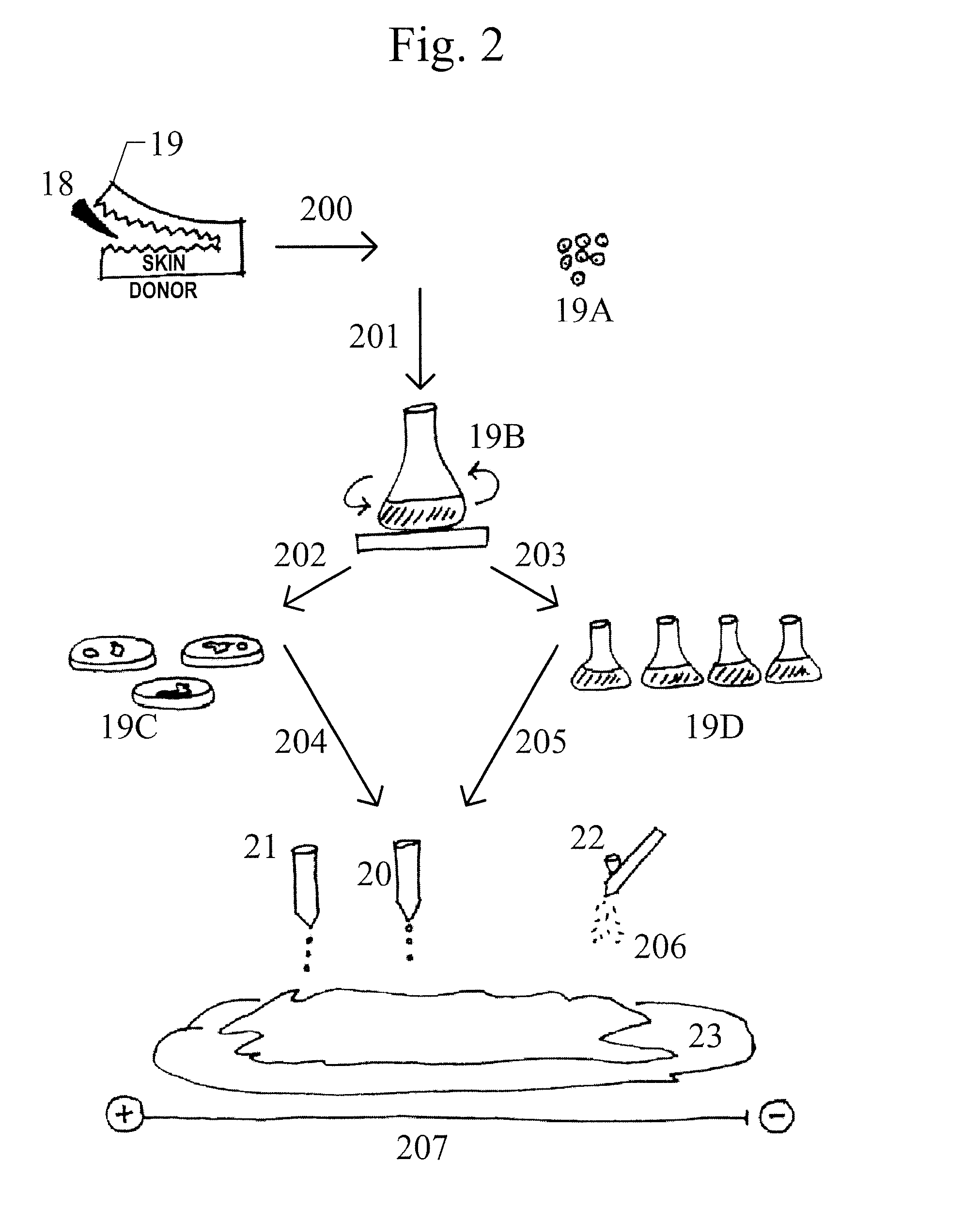 Skin printing and auto-grafting