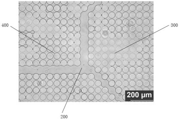 Shale reservoir post-fracturing seepage microscopic model, manufacturing method and experimental device