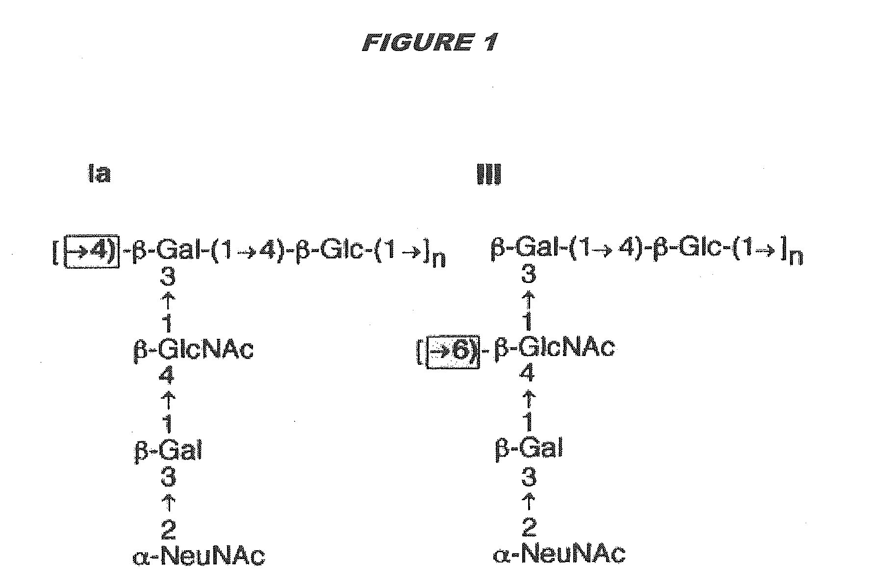 Immunogenic compositions