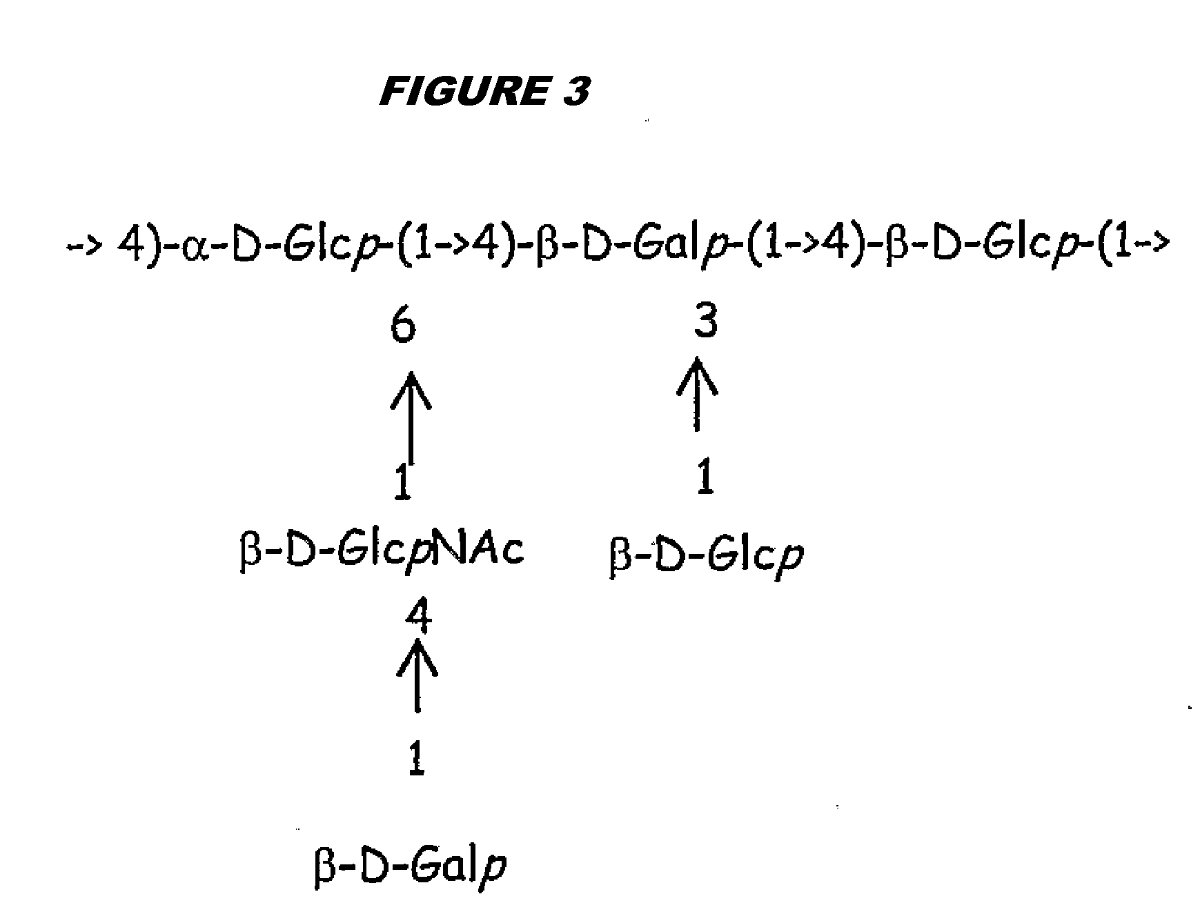 Immunogenic compositions