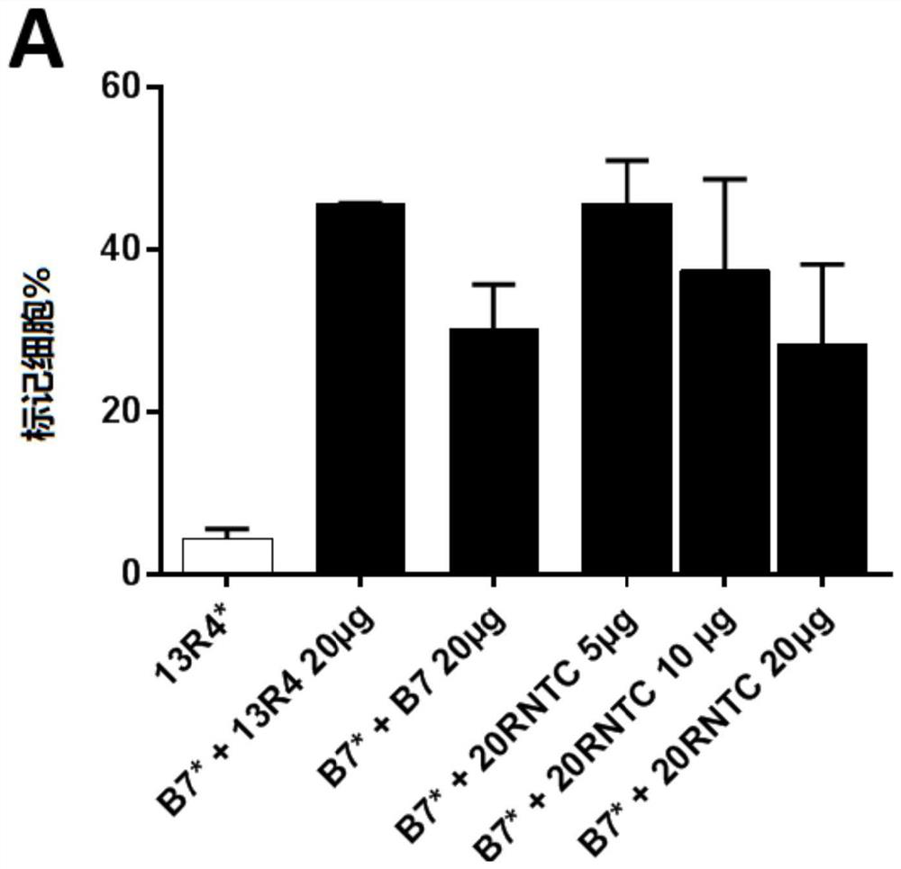 Il20-rb-specific antibodies and uses thereof for treating acute aggregation of