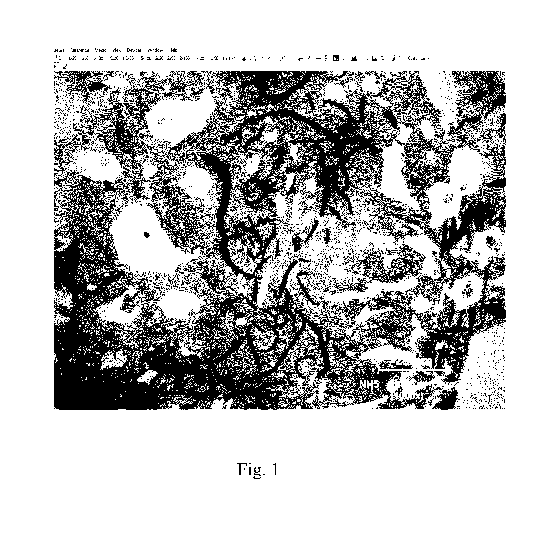 Hypereutectic white iron alloys comprising chromium, boron and nitrogen and articles made therefrom