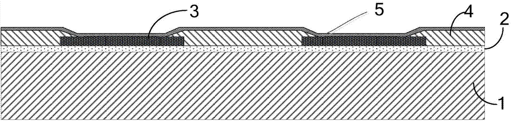 Salient point structure for preventing salient point lateral etching and forming method