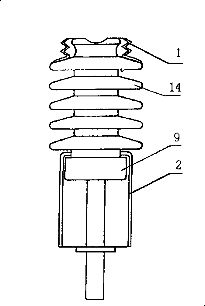 Insulator capable of improving external insulation electric strength