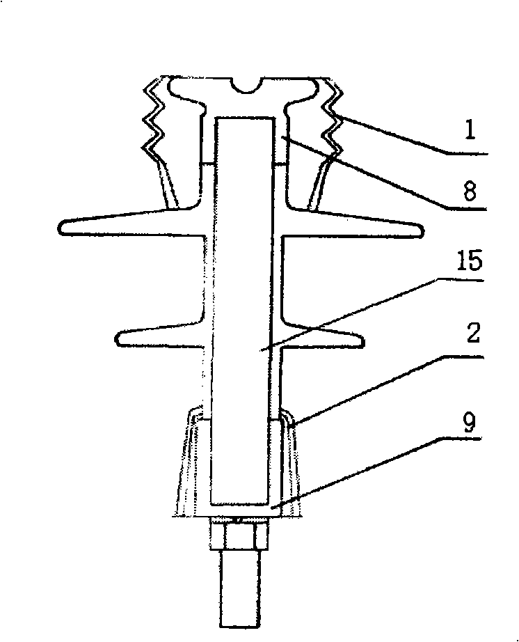 Insulator capable of improving external insulation electric strength