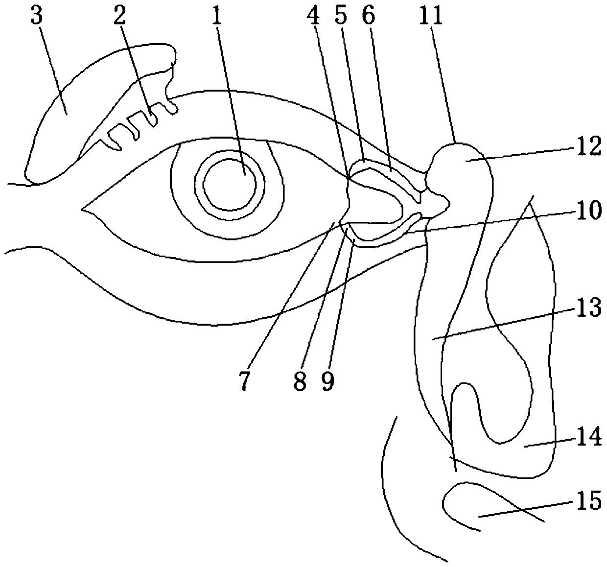 Surgical operation method