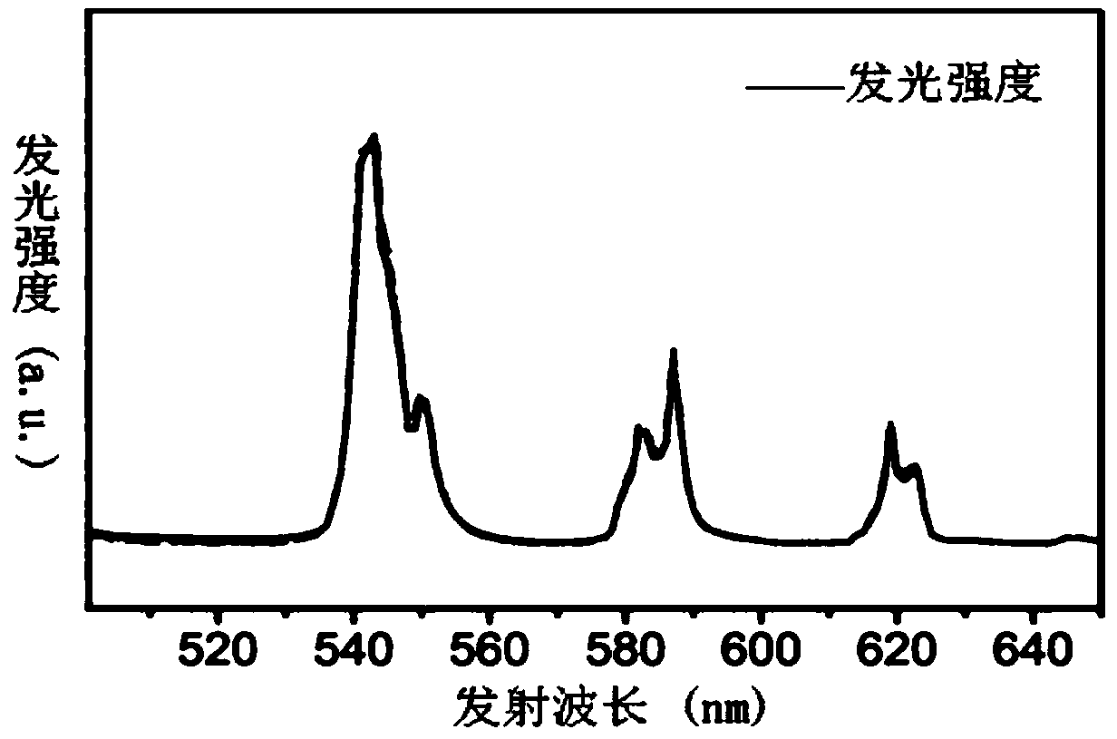 Synthetic method and application of 'YYTC tracer agent'