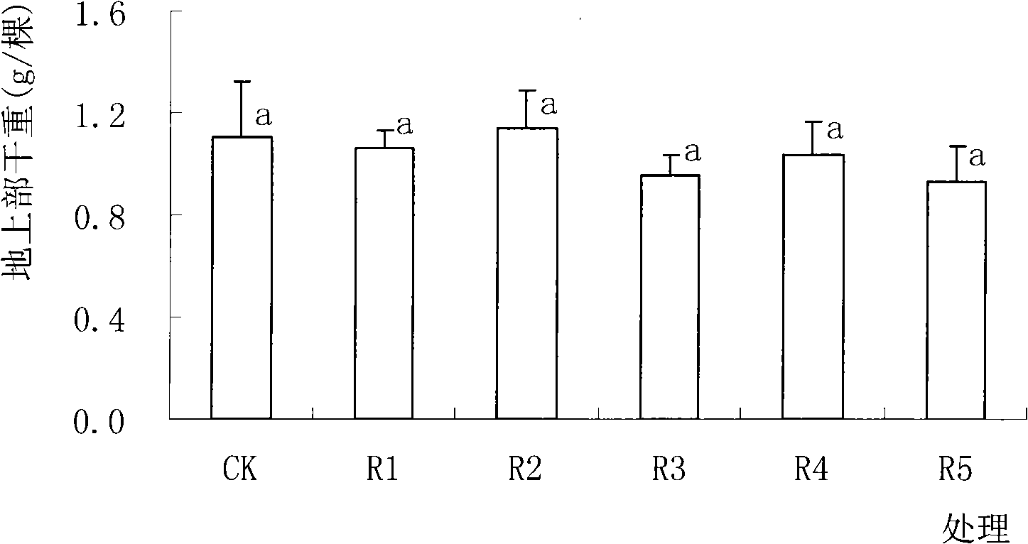 Method for repairing heavy metal polluted soil using abundant plant dandelion