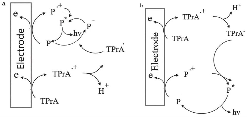 A solid-phase polycarbazole derivative electroluminescence system and its construction method and application