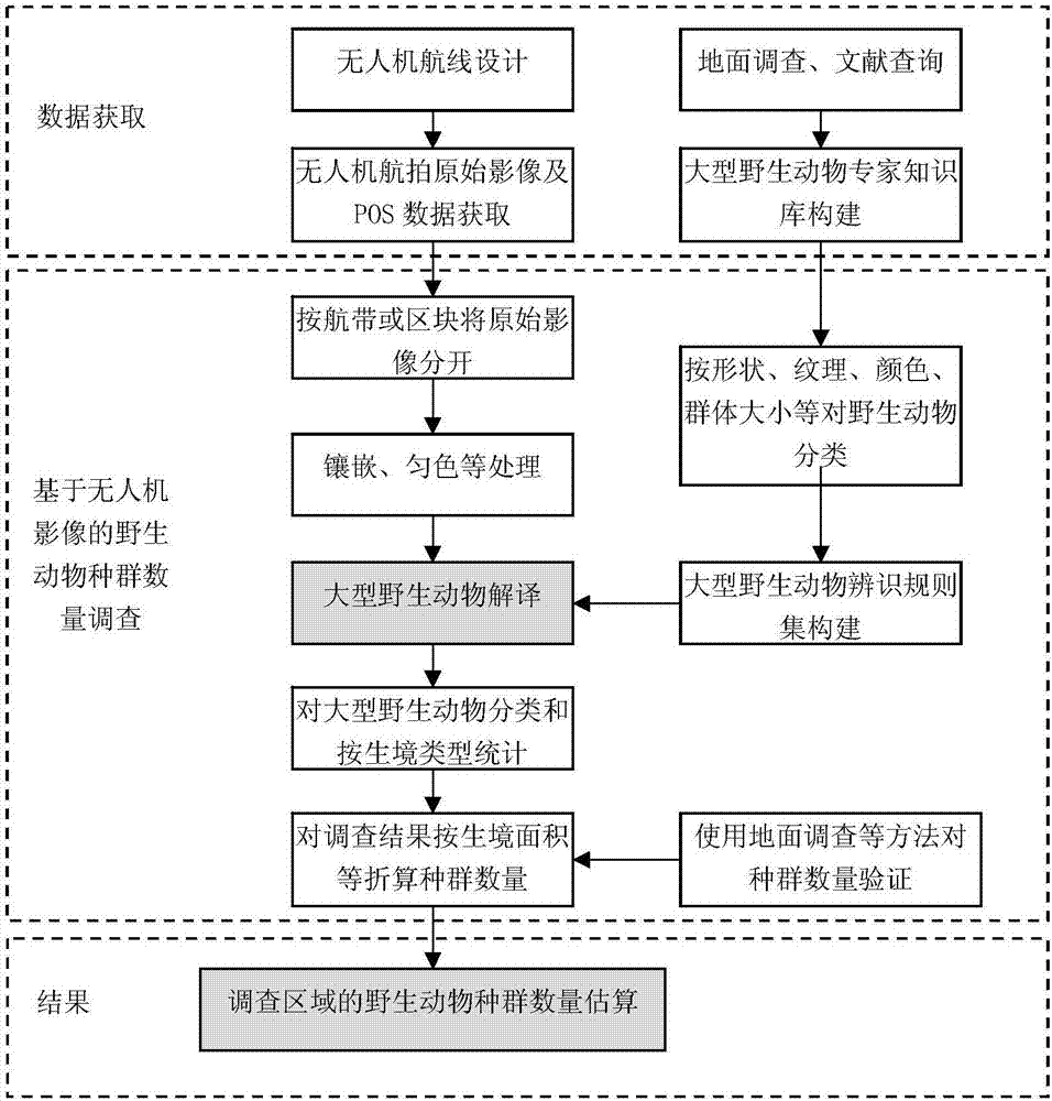 Large wildlife population number investigation method based on aerial photography of unmanned aerial vehicle