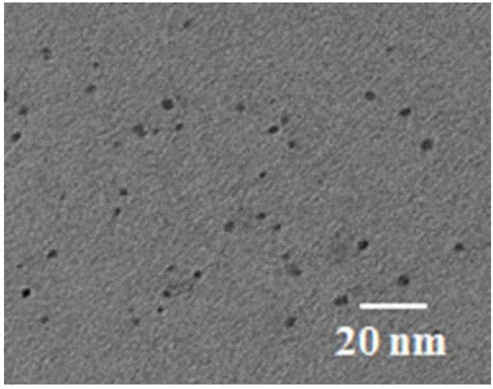 Polymer carbon dot with high fluorescent quantum yield and preparation method thereof, and application of polymer carbon dot to targeted detection of tumor cells