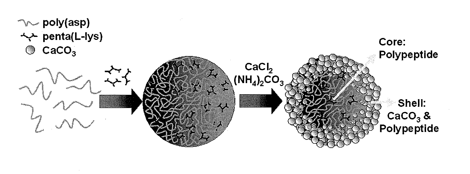 Calcium carbonate microstructures useful in encapsulation applications and a process for the preparation thereof