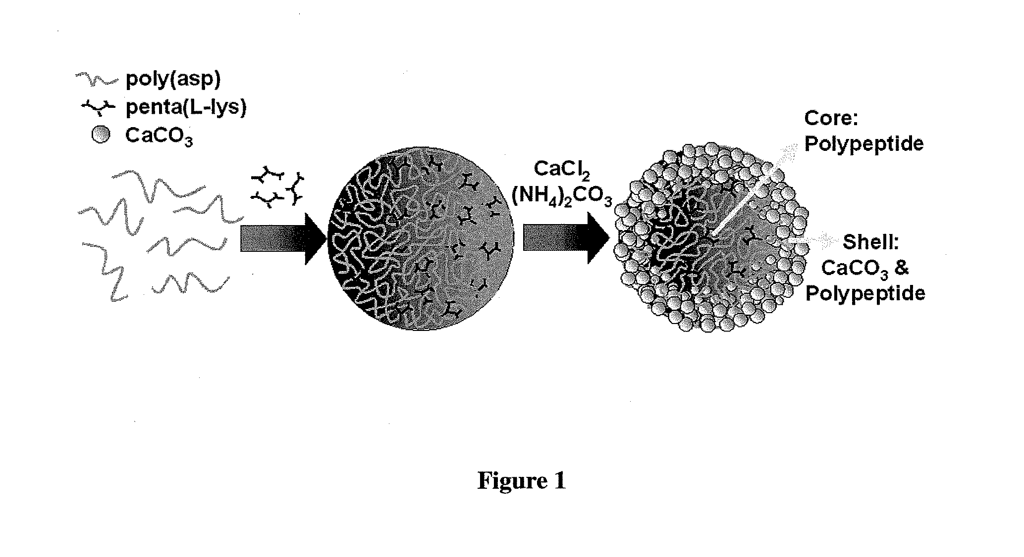 Calcium carbonate microstructures useful in encapsulation applications and a process for the preparation thereof