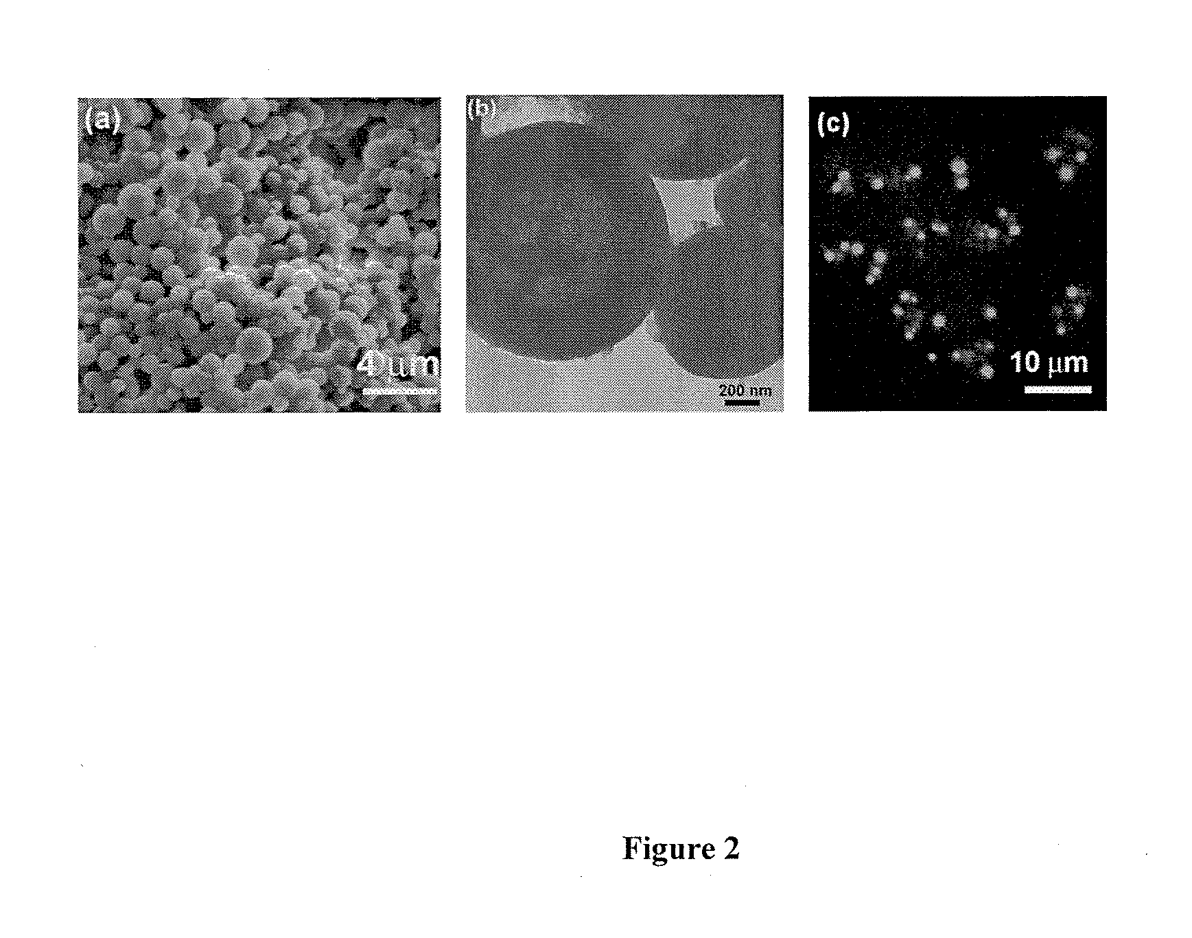 Calcium carbonate microstructures useful in encapsulation applications and a process for the preparation thereof