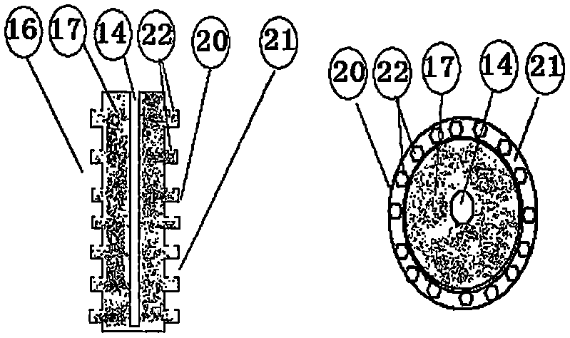 Plant fast-growing device