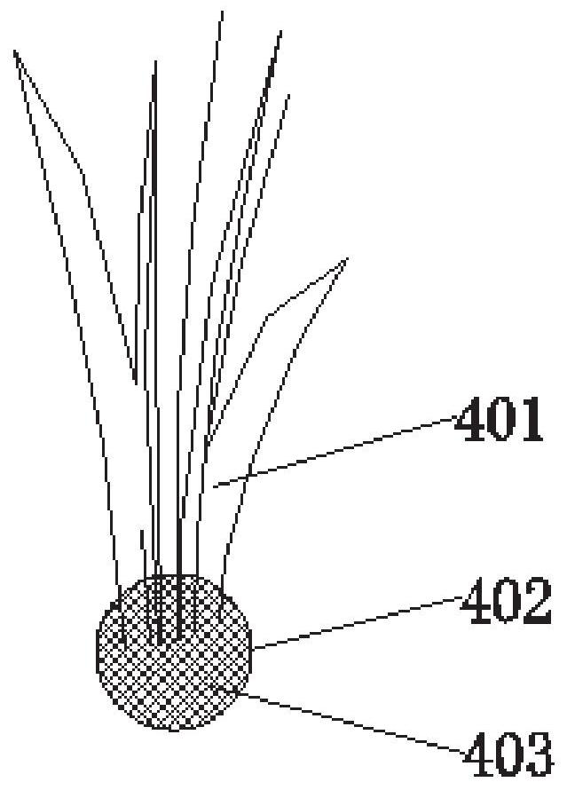 Submerged plant seed throwing cup capable of increasing survival rate