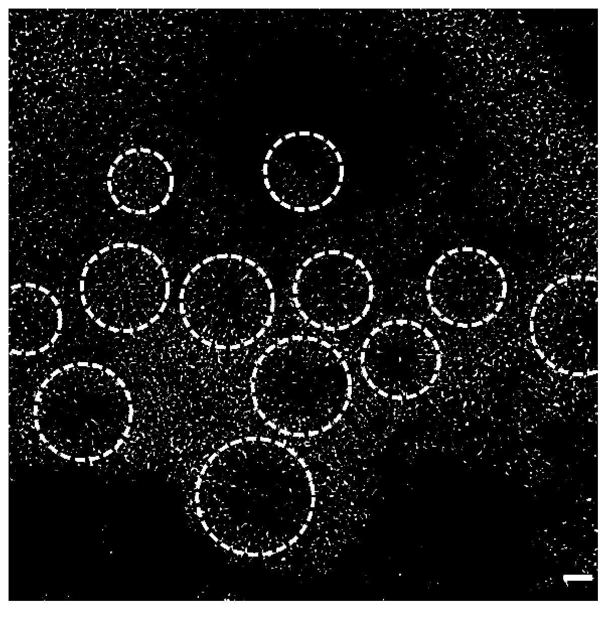 Method used for inducing differentiation of human multipotential stem cells into retinal progenitor cells