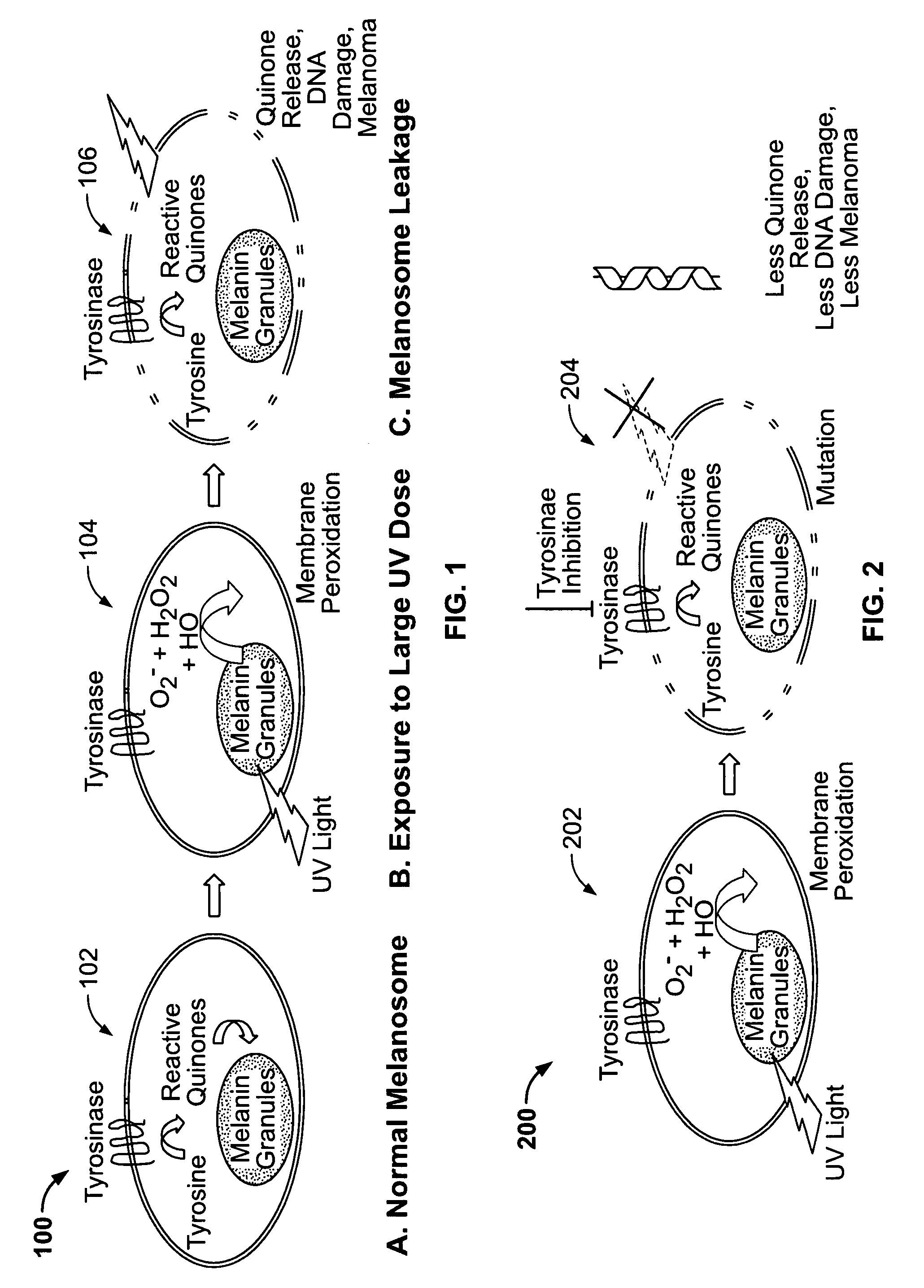 System and methods of melanoma prevention