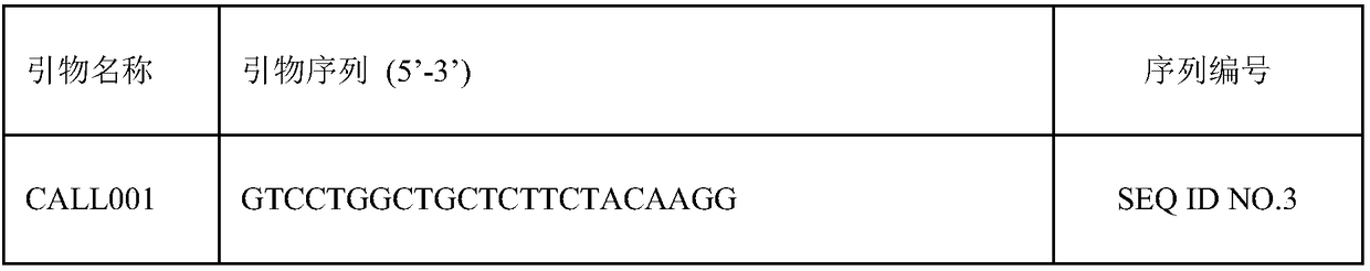 Nano-antibody for specifically recognizing duck hepatitis A virus 1