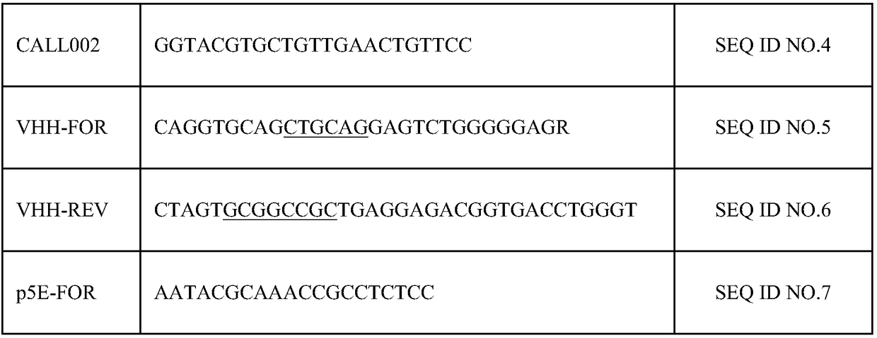 Nano-antibody for specifically recognizing duck hepatitis A virus 1