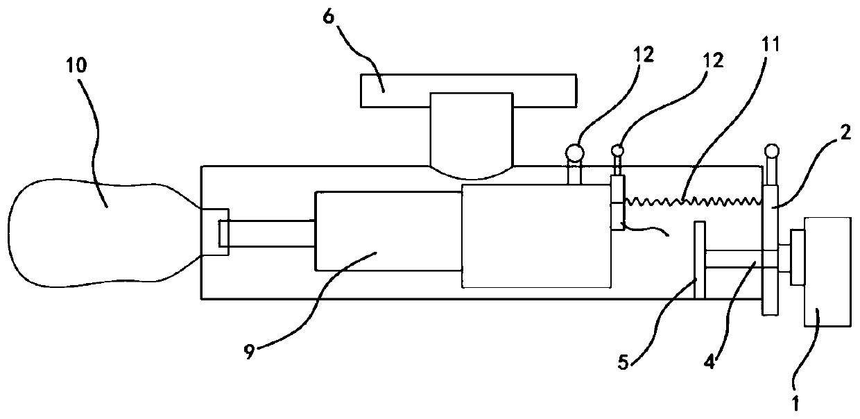 Automatic drowning prevention lifesaving system