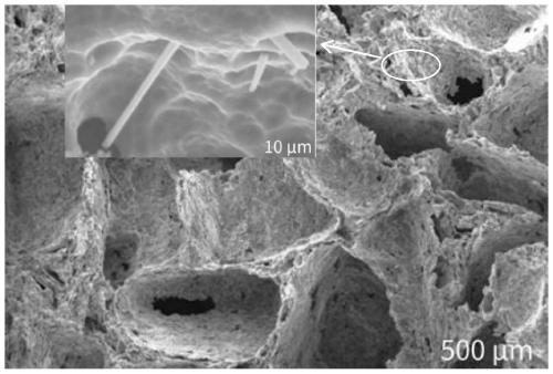 Microcellular-foaming high-strength anti-aging PA/PETG composite plastic well lid and preparation method thereof