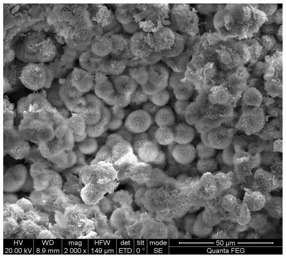 a ti/comoo  <sub>4</sub> Preparation method of nano-array electrode