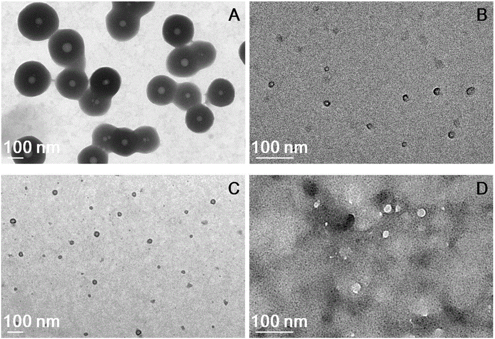 Degradable organic silicon nanocapsule drug carrier as well as preparation method and application thereof