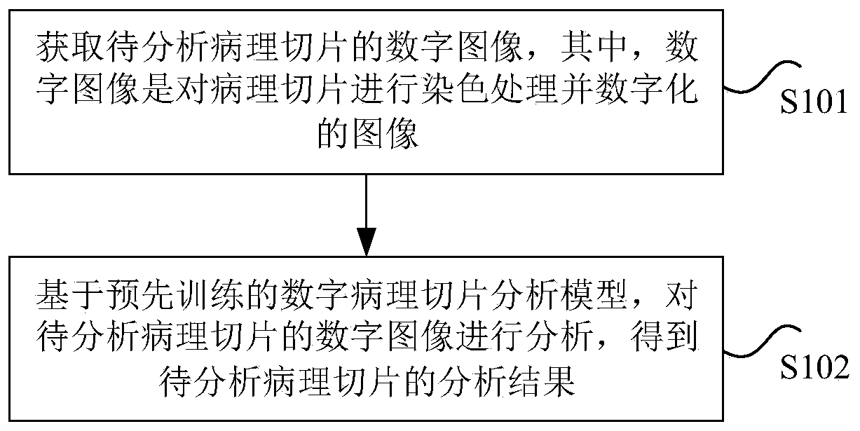 Method and device for analyzing digital pathological section