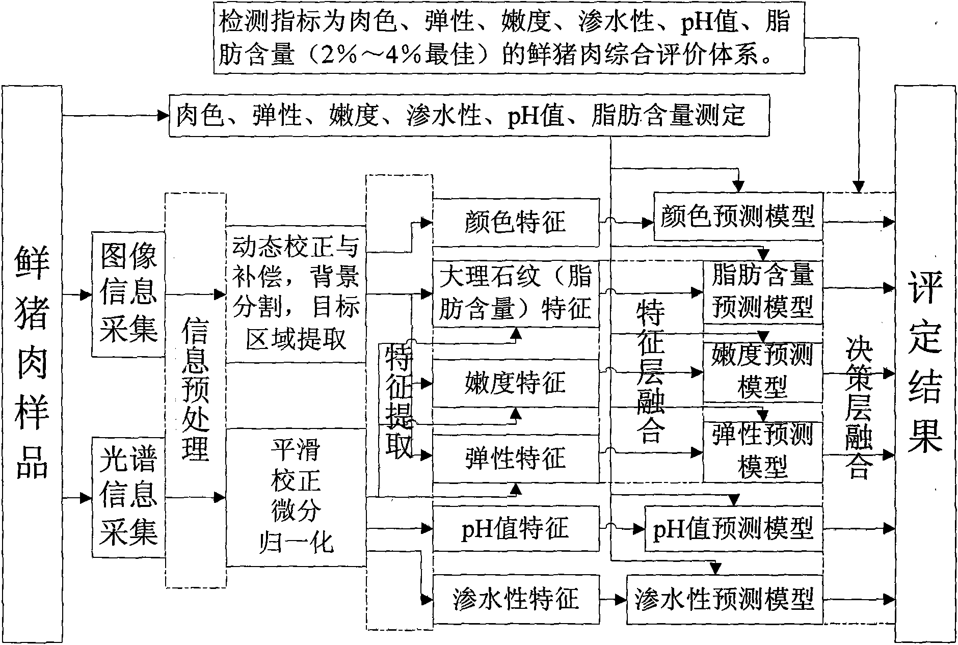 Meat online non-destructive testing method and apparatus based on fusion of image and spectrum information