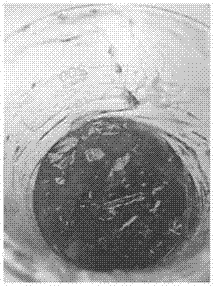 Honeysuckle antibacterial composition, preparation method, and application thereof