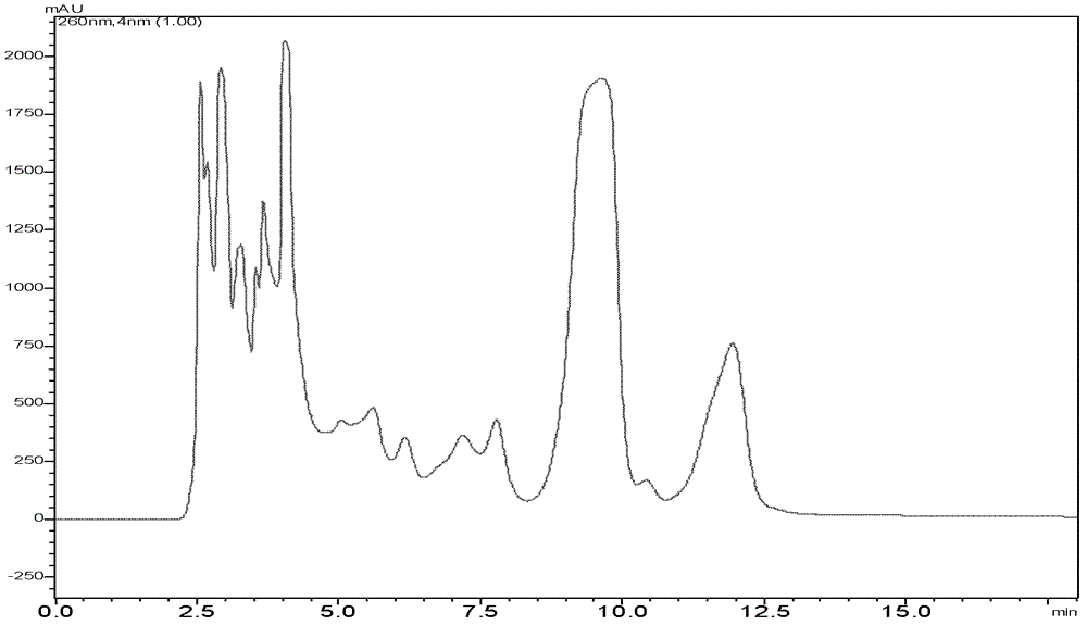 Method for separating and purifying cordycepin by utilizing high-speed counter-current chromatography